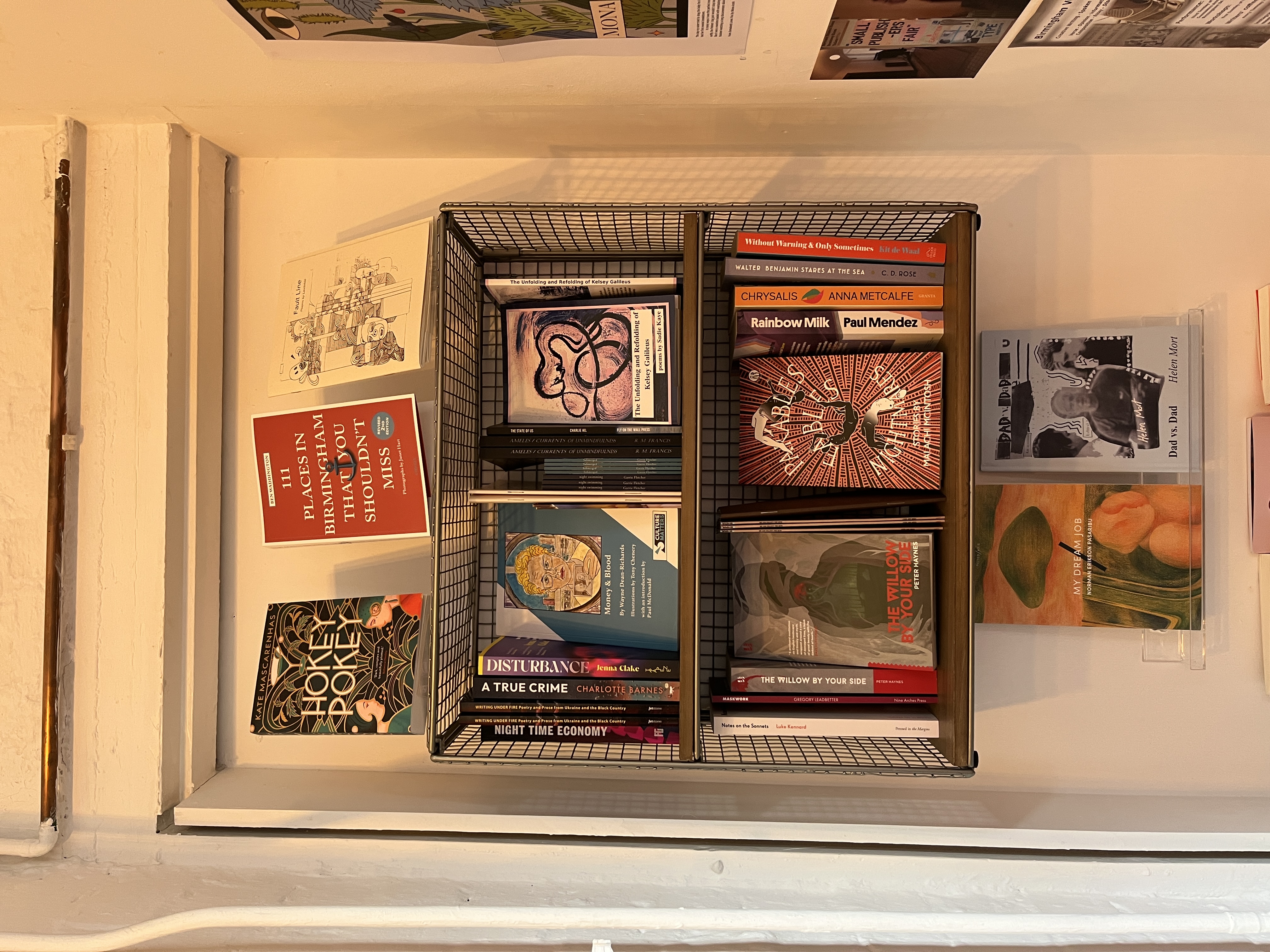 books at the voce bookshop